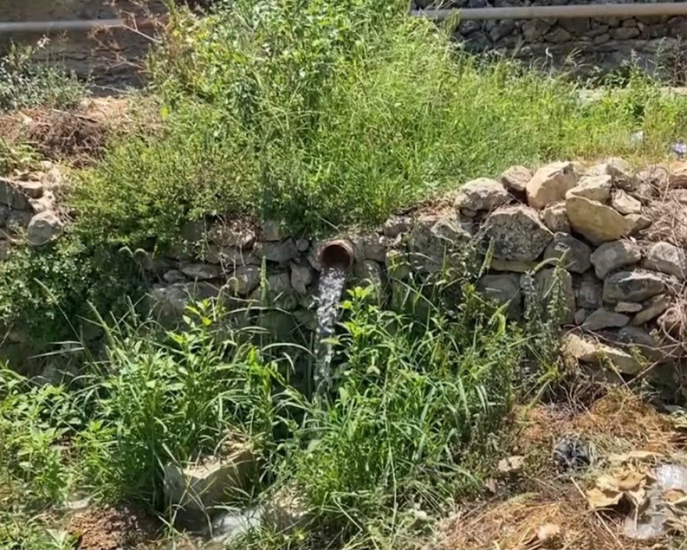 فيديو PNN: بتير.. مياه الينابيع تحيي الأرض وتحافظ على نظام ريّ تقليدي وزراعة متوارثة عبر مئات السنين