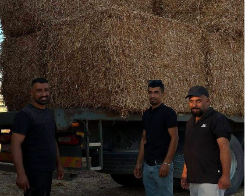 زراعة بيت لحم تنفذ تدخلاً عاجلاً لمربي الثروة الحيوانية في قرية كيسان بـ22 بالة قش لصالح 22 مزارعاً