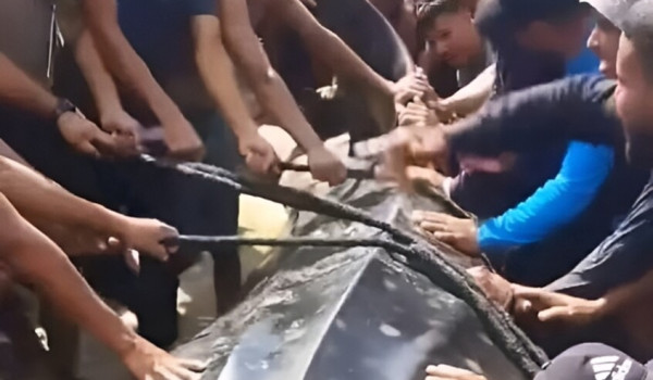 الحوت الذي لفظه البحر في غزة بقلم عيسى ق...