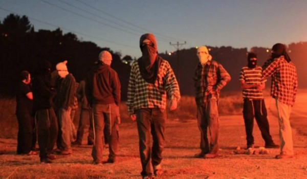 مستعمرون يضرمون النيران في مركبتين في قر...