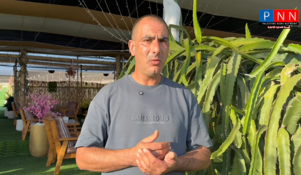 نجاح زراعة فاكهة التنين في جنين… من تجرب...