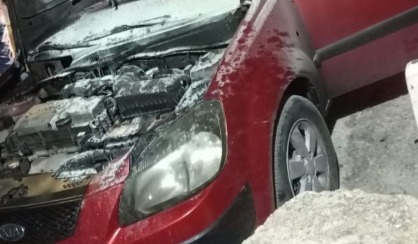 مستعمرون يحرقون مركبتين ويخطون شعارات عن...