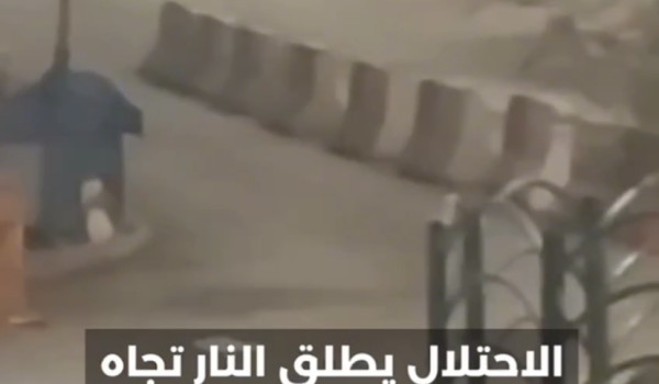 الخليل: شهيدان برصاص الاحتلال بزعم محاول...