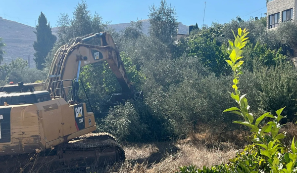 الاحتلال يجرف أراضي ويقتلع عشرات أشجار ا...