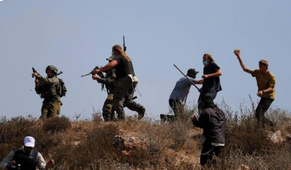 محافظة القدس: حملة اقتلاع ممنهجة تستهدف ...