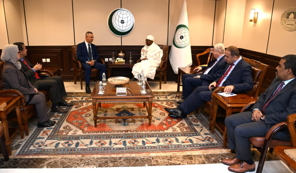 منظمات إقليمية ودولية تطالب بمساءلة الاح...