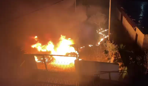 مستعمرون يحرقون مركبتين ويخطون شعارات عن...