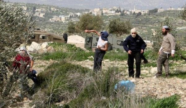 مستعمرون يهاجمون أطراف كفر مالك شمال شرق...