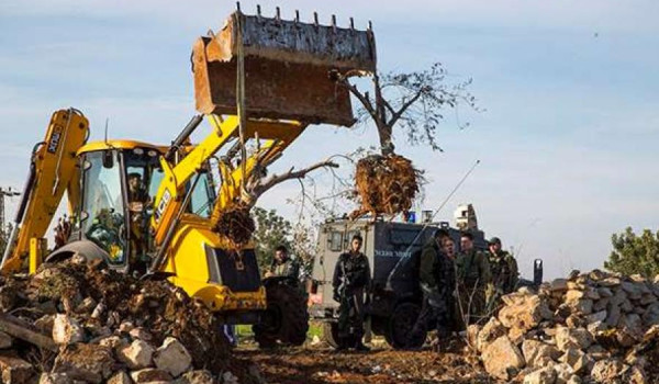 الاحتلال يجرف أراضي زراعية ويقتلع أشجارا...