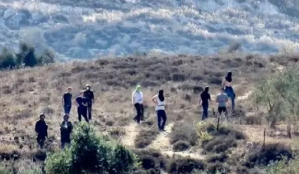 مستعمرون يقتحمون تل ماعين الأثري جنوب ال...