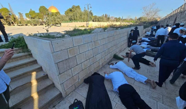 مستعمرون يقتحمون الأقصى في خامس أيام 