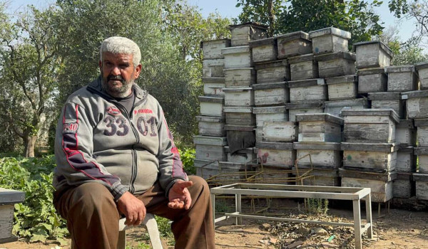 حتى النحل لم يسلم من حرب الابادة : مربي ...