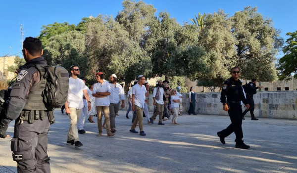 456 مستوطناً يقتحمون المسجد الأقصى تحت ح...