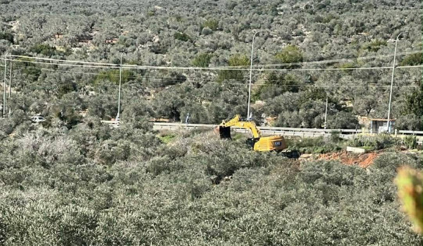 الاحتلال يواصل تجريف واقتلاع أشجار زيتون...