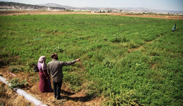 سلطة الأراضي تُصادق على 16 حوض تسوية في ...