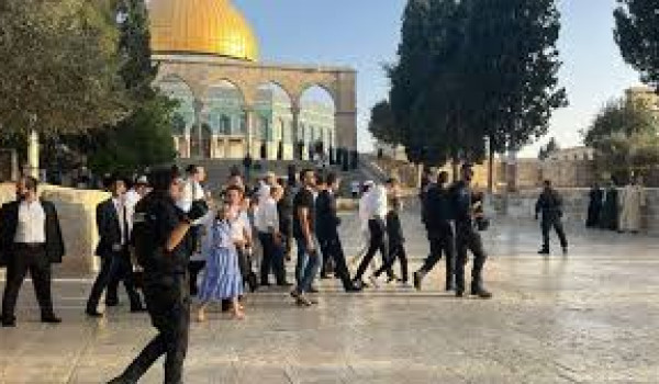 480 مستعمرا يقتحمون المسجد الأقصى...