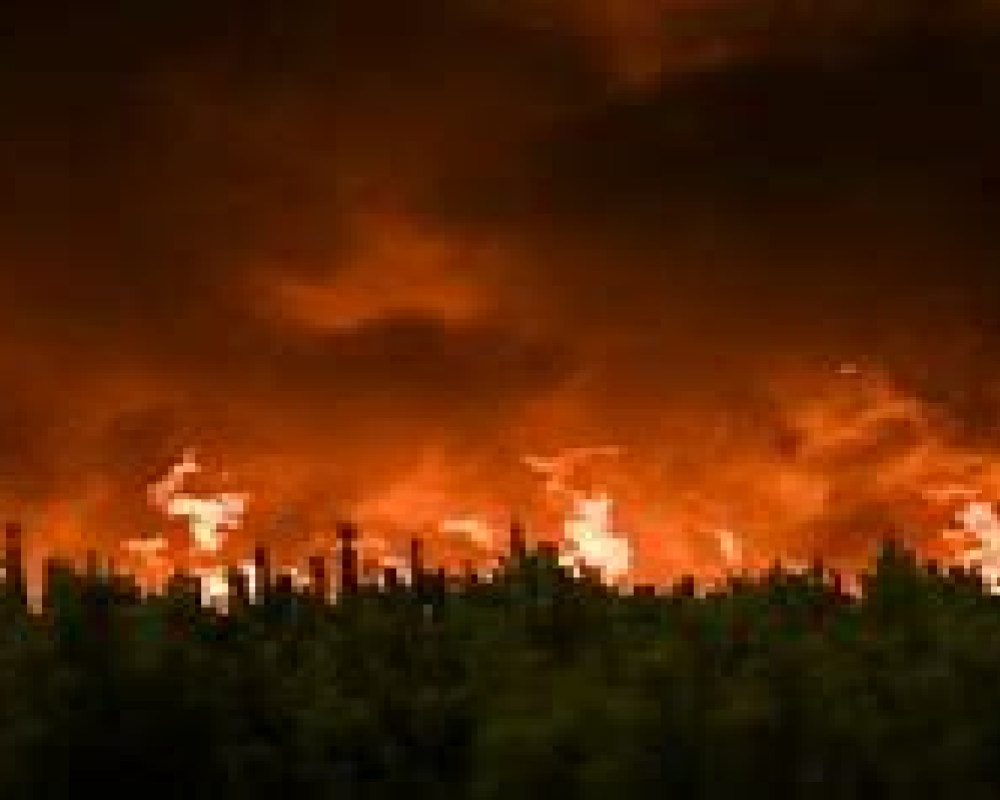 News Main Image 