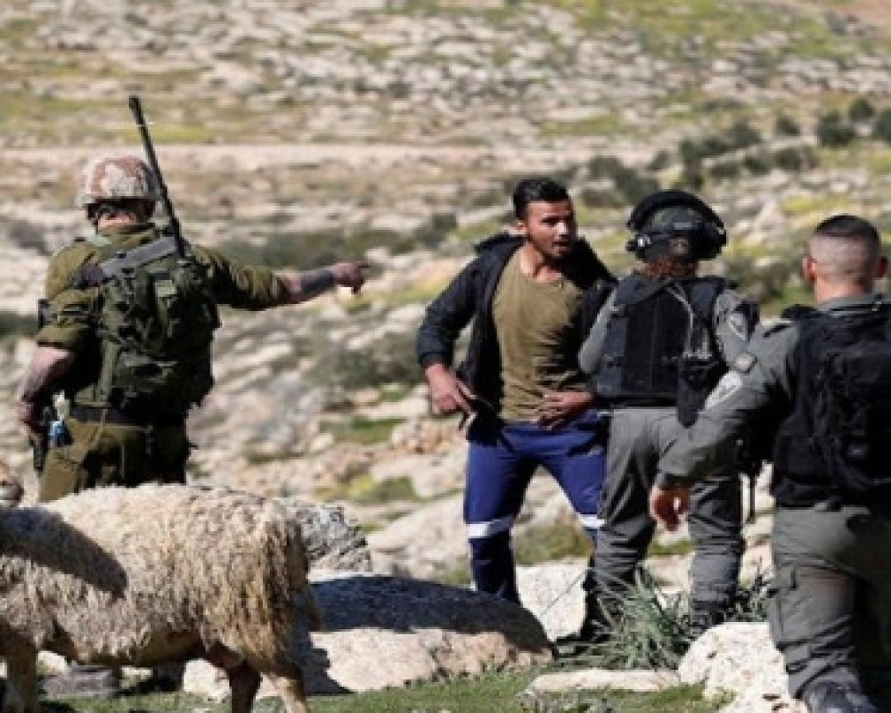 مستعمرون يقتحمون بيت عور التحتا وجلجليا غرب وشمال رام الله