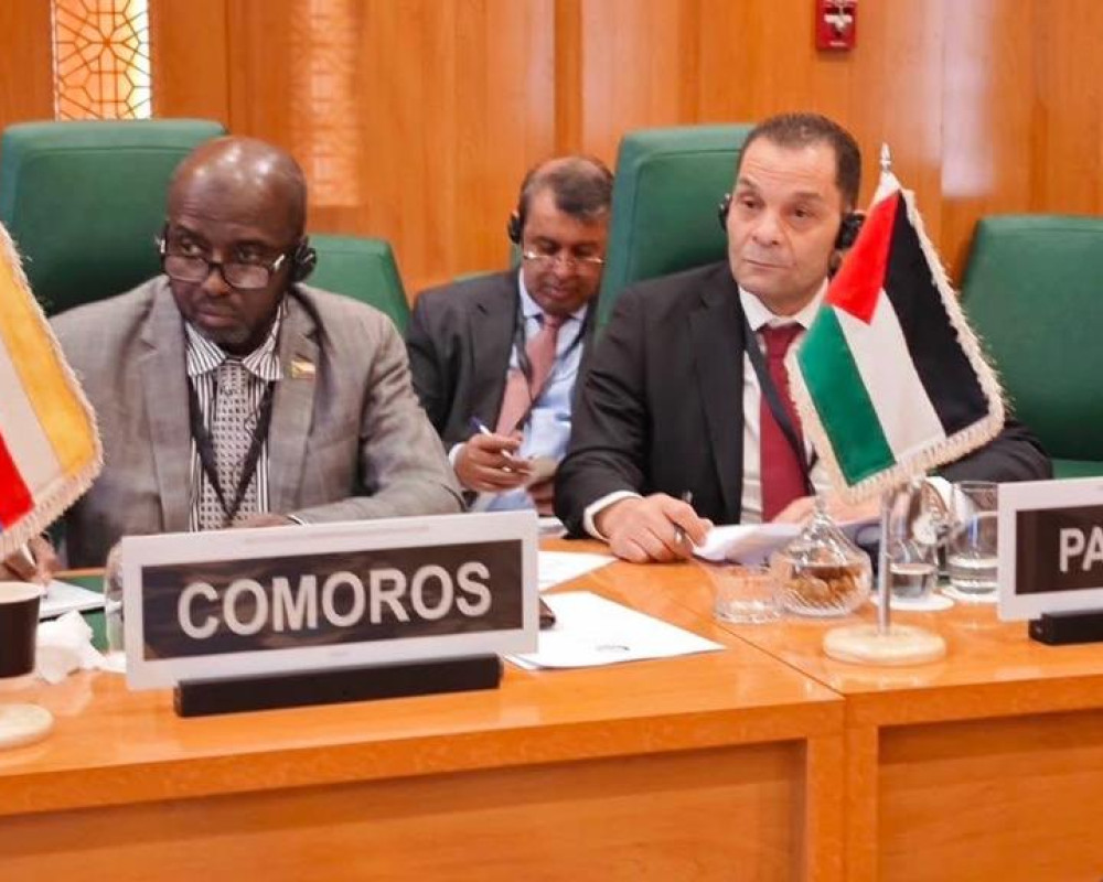 فلسطين تشارك في اجتماع كبار الموظفين التحضيري للدورة الاستثنائية الثالثة والعشرين لمجلس وزراء خارجية "التعاون الإسلامي"