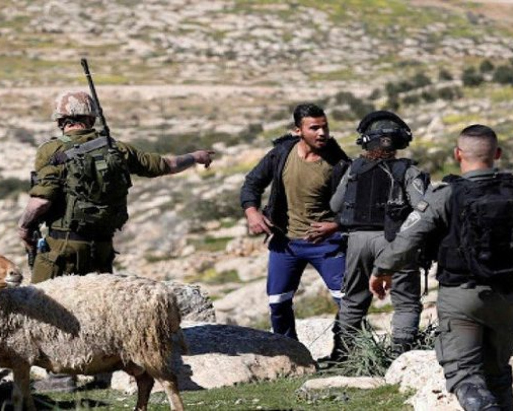 مستعمرون يرعون أغنامهم في أراضي المنية جنوب شرق بيت لحم