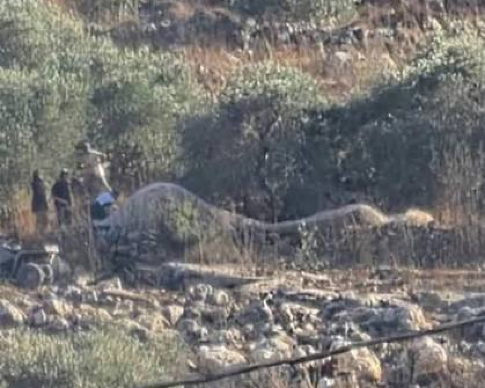 News Main Image 
