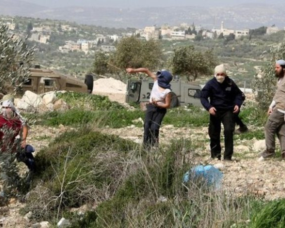 إصابة طفلين بحروق واختناق في هجوم للمستعمرين وإخطار بهدم 3 منازل جنوب الخليل