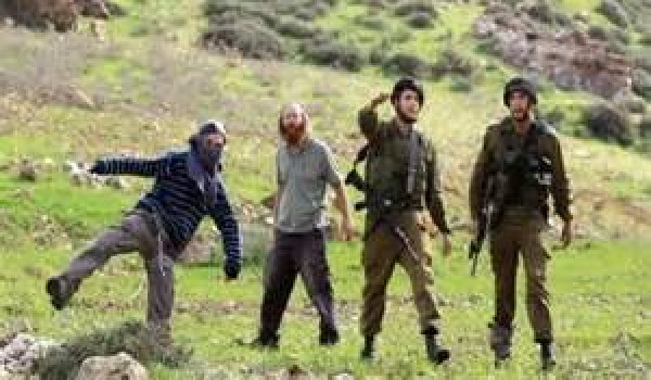 مستعمرون يقتلون رأسا من الماشية ويلاحقون...