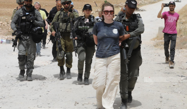 الاحتلال يعتقل أربعة متضامنين أجانب من ا...