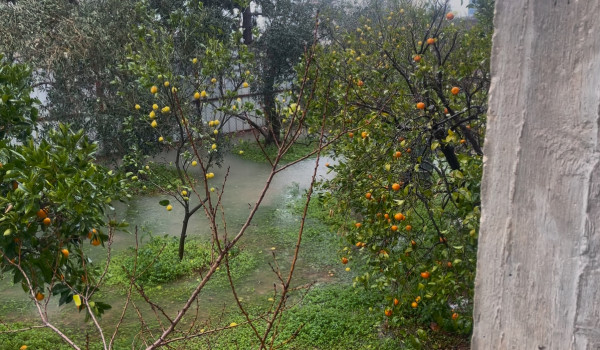 الطقس: أجواء شديدة البرودة والفرصة مهيأة...