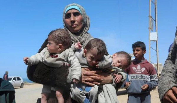 الحرب على غزة تخفض المواليد بنسبة 41% وت...