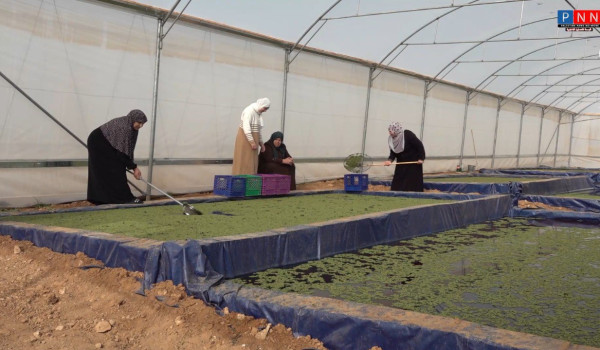 نساء بني نعيم : صمود وإبداع في وجه التحد...