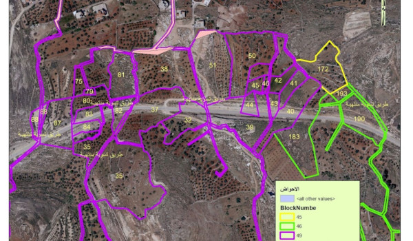 قرار عسكري إسرائيلي لإزالة أشجار 35 دونم...