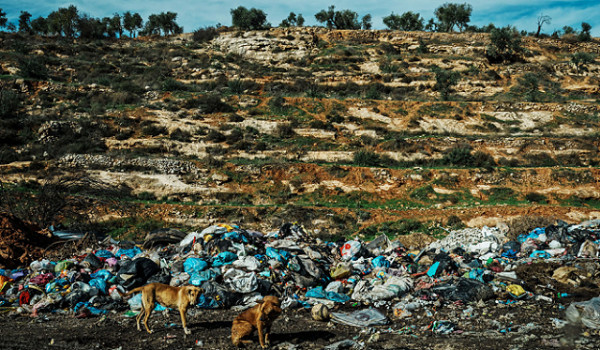 أمر عسكري إسرائيلي يوسّع صلاحيات المصادر...