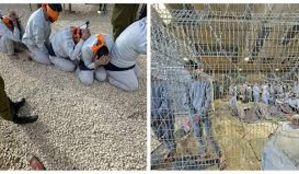 شهادات الأسرى المحررين تفضح واقع الإبادة...