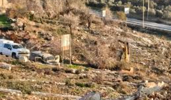 الاحتلال يقتلع أشجارا في كفر مالك شمال ش...