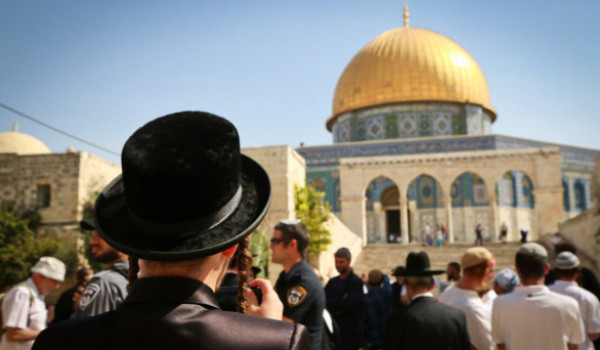 مجلس الافتاء يدين اعتداءات الاحتلال ومست...