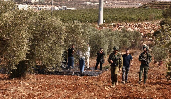 شرع مستعمرون بتجريف أراضٍ في قرية أم صفا...