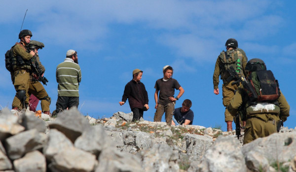 مستعمرون يقتحمون فصايل ويرعون أغنامهم بي...