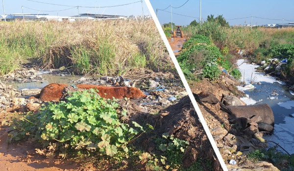 تعديات خطيرة على واد المقطع تهدد البيئة ...