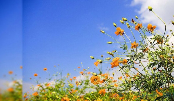 حالة الطقس: أجواء صافية وارتفاع ملموس عل...