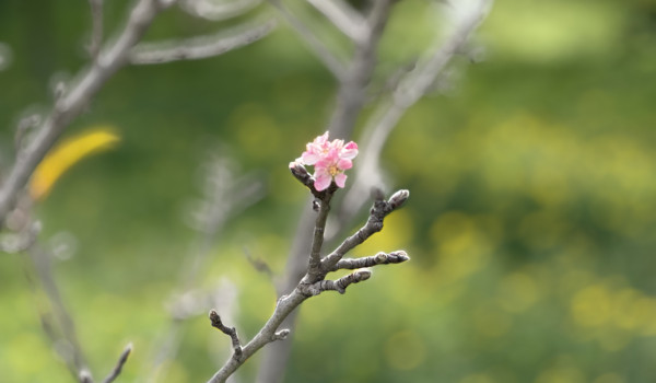 الطقس: ارتفاع ملموس على درجات الحرارة...
