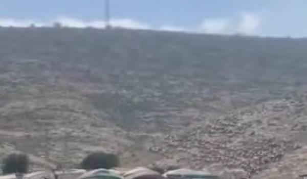 مستعمرون يجبرون رعاة الماشية على ترك الم...