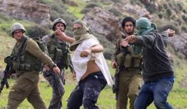 مستعمرون يقتحمون تجمع عرب الخولي في كفر ...