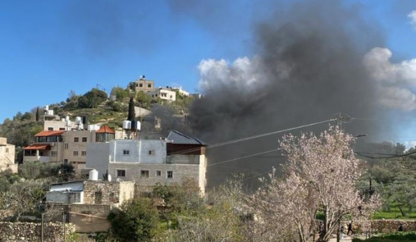 مستوطنون يعتدون على مواطنين ومتضامنين اج...