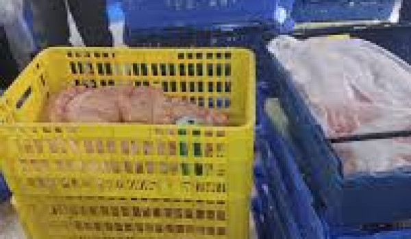 الأمن الوقائي يضبط 3 أطنان من الدجاج الم...