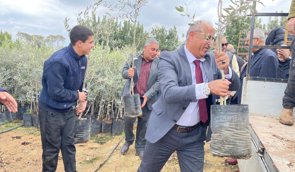زارة الزراعة توزّع 3106 شجرة زيتون مكبّر...