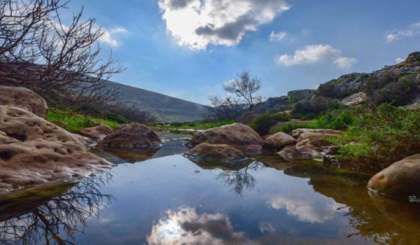 الطقس: أجواء خماسينية وارتفاع ملموس على ...