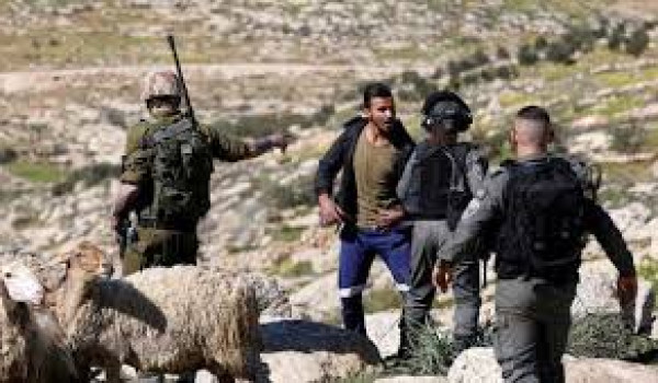 قوات الاحتلال تعتدي بالضرب على راعيي أغن...
