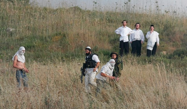 مستعمرون ينصبون خيمة في خلايل اللوز جنوب...