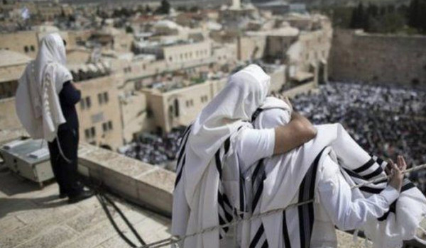 تحذيرات من محاولات إدخال قرابين حيوانية ...